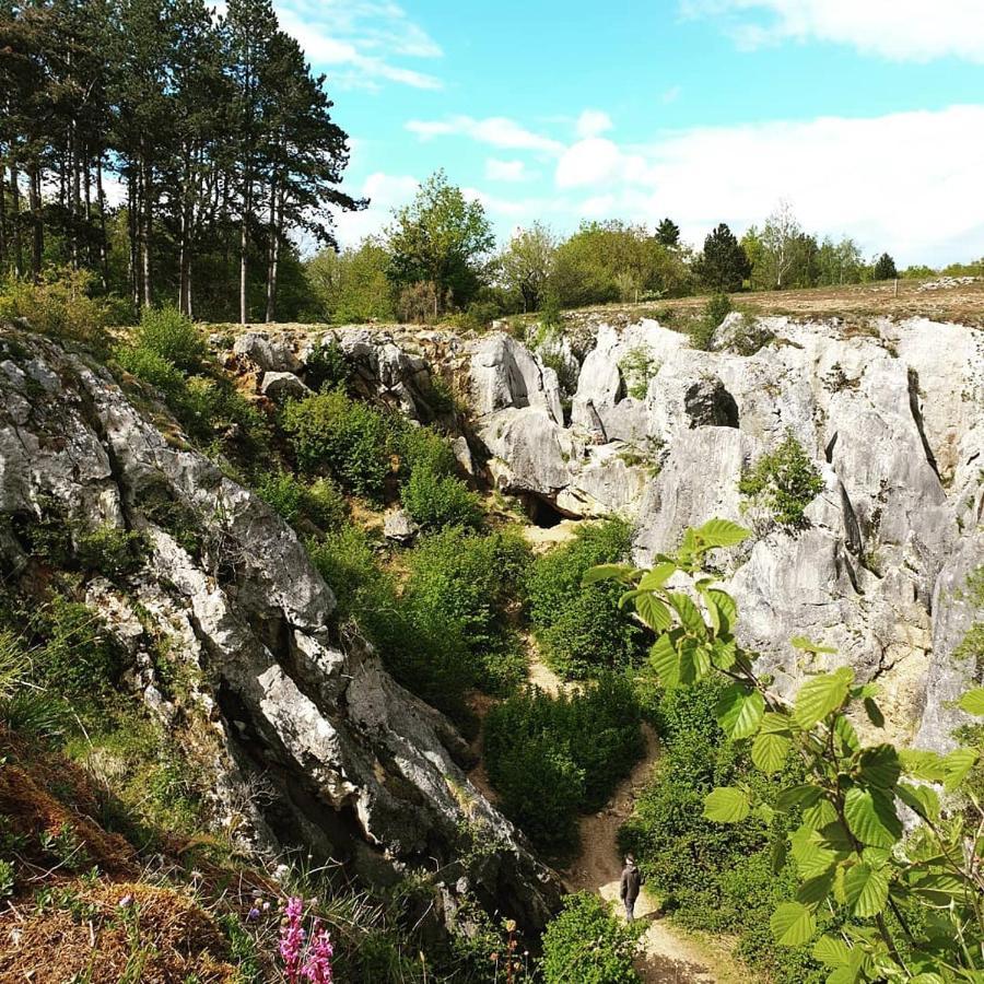 Verblijfpark Ardinam Olloy-sur-Viroin Luaran gambar