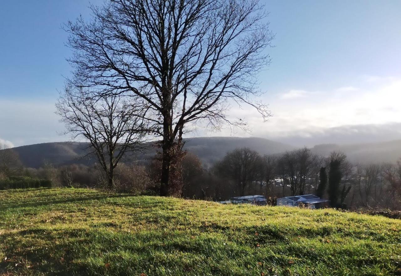Verblijfpark Ardinam Olloy-sur-Viroin Luaran gambar